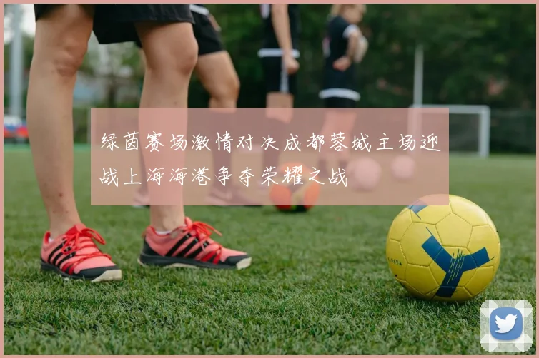 绿茵赛场激情对决成都蓉城主场迎战上海海港争夺荣耀之战